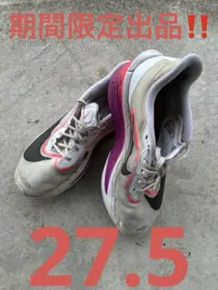 NIKEズームフライ6 27.5