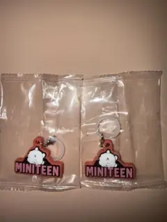 MINITEEN ぷっくりめじるしアクセサリー セブチ　ウジ　2点セット