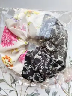 Item thumbnail for item ae9e0555-d0a8-4884-ba30-541070ba6f54