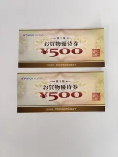 ヤマダ電機　お買物優待券　500円2枚