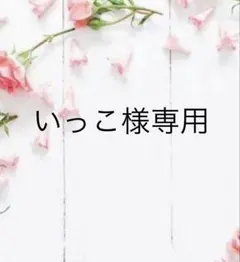 いっこ様専用です。アイシングクッキー