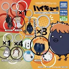 めじるしつながリングチャーム ハイキュー!!マスコット 日向 研磨 木兎 赤葦