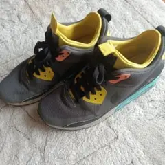 Nike Air Max スニーカー グレー/イエロー