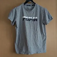 PUMA プーマ Tシャツ 160サイズ 半袖 グレー