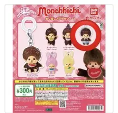 モンチッチ 第2弾 めじるしアクセサリー ベビチッチ