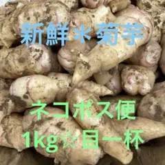 掘りたて‼︎ 新鮮な菊芋✳︎ネコポス(1kg)目一杯