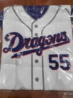 中日ドラゴンズ　ユニホームきんちゃく　巾着　細川成也選手