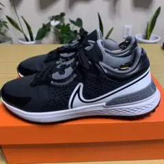 Item thumbnail for item fb68ad50-5d25-4189-b50d-9d9845ebdaed