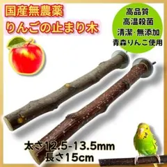 Item thumbnail for item 1cdb8120-24e1-437a-9084-905530738bbd