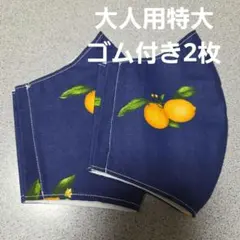 Item thumbnail for item 64c131d7-37ea-4557-af00-e6721d8d2beb