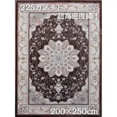 訳ありお買得！高密度、立体柄！本場イラン産 絨毯！200×250cm-52001