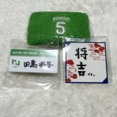 INI 会場限定 カプセルトイ 田島将吾