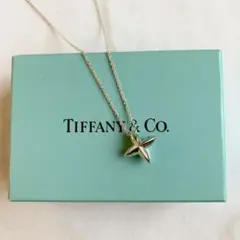 ティファニー シリウススターネックレス SV925 廃盤　値引き不可 TIFFANY & Co. シリウススター ネックレス シルバー 925