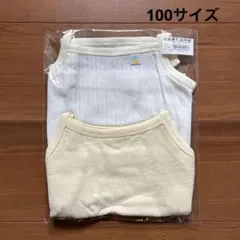 Item thumbnail for item e8dc1687-6ebb-494e-9be0-384c8dfb51ff