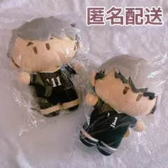 霧雨が降る森 ぬいぐるみ 須賀孝太郎 ぬいぐるみ - メルカリ