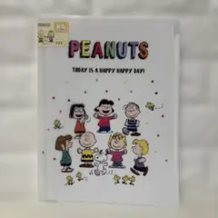 ★新品未使用　PEANUTS クリアファイル　A4 大容量 スヌーピー
