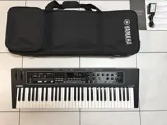 【美品】Yamaha CK61 本体＋ソフトケース ヤマハ YAMAHA SC-DE61 CK61用ソフトケース(ヤマハ 背負って運べる