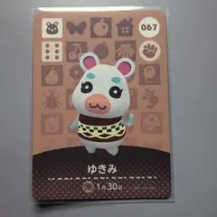 ゆきみ amiiboカード あつ森