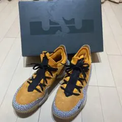 Item thumbnail for item 8a637a42-8e7c-4a16-b86c-07be13b50f9e