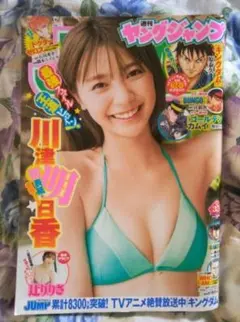 Item thumbnail for item 7e27c9d1-466d-4928-9fbb-f172132ac52b