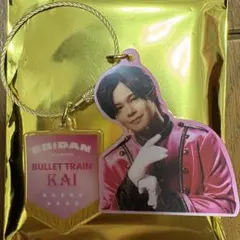 EBiDAN THE LIVE 2025 アクキー エビライ 超特急 カイ