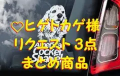 ❤ヒゲトカゲ様 リクエスト 3点 まとめ商品