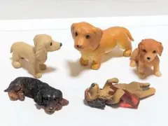 可愛い　ダックスフンド　セット♡ダックスフンドまとめ売り　酔っ払い　子犬物語等