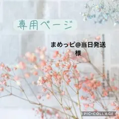 まめっピ@当日発送　様　専用