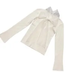 【美品】SNIDEL スナイデル ニュアンスリボンニット プルオーバー