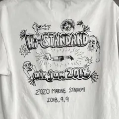 【新品・未開封】ハイスタ　ロンT （Mサイズ）