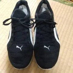 Item thumbnail for item 9eff2a37-086e-4a82-9fc8-bf5f6152f496