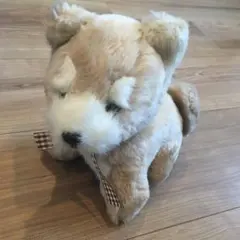 2026年最新】創美社犬の人気アイテム - メルカリ