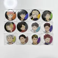 ハイキュー　Ani-Art 缶バッジ　コンプリート