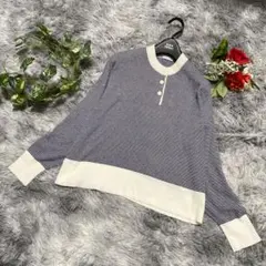 ZARA ザラ ボーダーニット 長袖 ポロシャツ M ネイビー 白