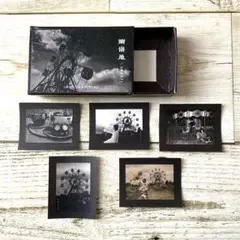 2026年最新】有村竜太朗の人気アイテム - メルカリ