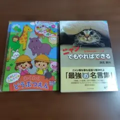 Item thumbnail for item 244e7a13-6e52-4c34-8b78-fce621e9d3bb