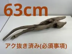 W72アク抜き済み流木 爬虫類シェルター 登り木 インテリア 生け花 W72アク抜き済み流木 爬虫類シェルター 登り木 インテリア 生け花