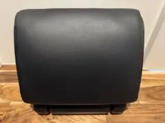 Item thumbnail for item 0da0a500-78d1-44d8-bf07-f24c5958b88e