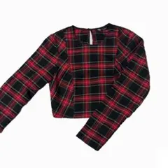 ZARA チェック 長袖