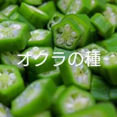 キタノトシオ様 リクエスト 2点 まとめ商品