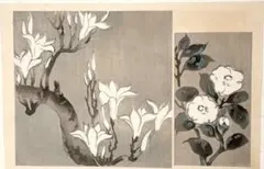 模写】絵画 川端龍子 日本画 繊細な葉と花の美を描いた和風アート V81