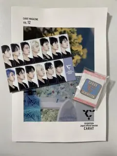 CARAT MAGAZINE vol.12　ピンバッジ付き