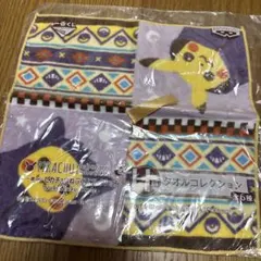 Item thumbnail for item 96c594f2-cb7c-4c58-a705-de1e32f3f964