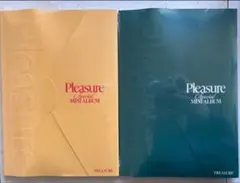 TREASURE PLEASURE アルバム 新品未開封 2枚セット　即購入❌