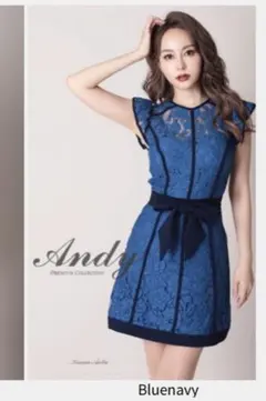 Andy ブルー×ネイビー　ミニドレス