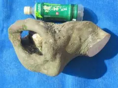 Item thumbnail for item 8ac5f73f-614e-4025-a414-cc79ce781735