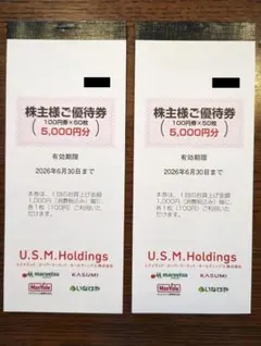 ユナイテッドスーパーマーケット　株主優待券　計10000円分のサムネイル