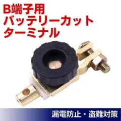 B端子用 バッテリーカットターミナル 1個 カットオフスイッチ 漏電 盗難防止