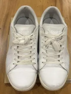 LACOSTE ホワイト スニーカー