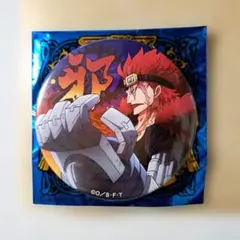 ワンピース 輩缶バッジ 第27弾 新世界の海 ユースタス キッド